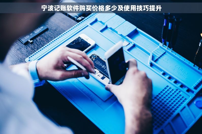 宁波记账软件购买价格多少及使用技巧提升