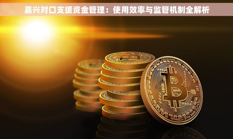 嘉兴对口支援资金管理:使用效率与监管机制全解析 嘉兴对口支援资金管理:使用效率与监管机制全解析