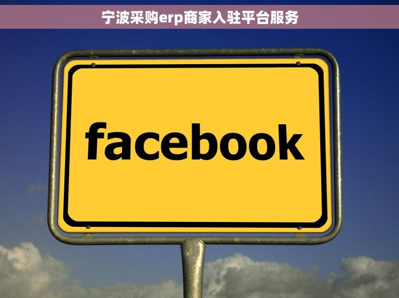 宁波采购erp商家入驻平台服务
