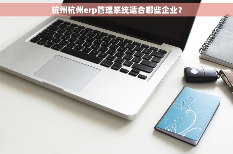 杭州杭州erp管理系统适合哪些企业? 杭州杭州erp管理系统适合哪些企业?