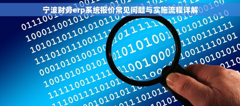 宁波财务erp系统报价常见问题与实施流程详解