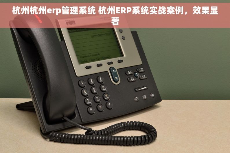 杭州杭州erp管理系统 杭州ERP系统实战案例，效果显著