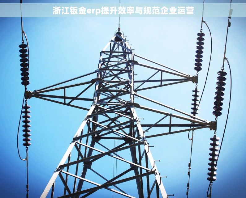 浙江钣金erp提升效率与规范企业运营 浙江钣金erp提升效率与规范企业运营