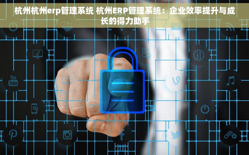 杭州杭州erp管理系统 杭州ERP管理系统：企业效率提升与成长的得力助手