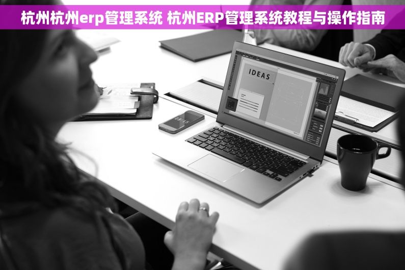 杭州杭州erp管理系统 杭州ERP管理系统教程与操作指南 杭州杭州erp管理系统 杭州ERP管理系统教程与操作指南