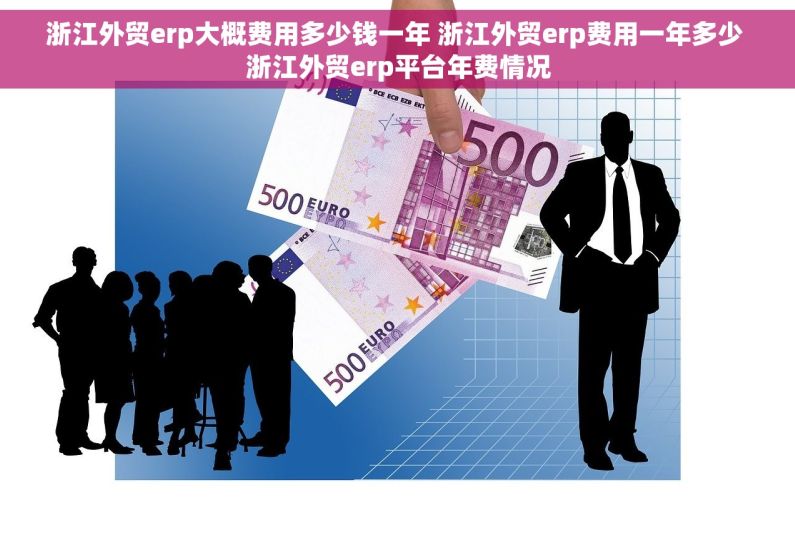 浙江外贸erp大概费用多少钱一年 浙江外贸erp费用一年多少 浙江外贸erp平台年费情况