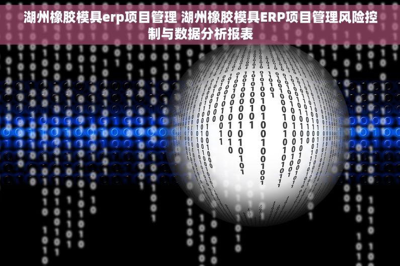 湖州橡胶模具erp项目管理 湖州橡胶模具ERP项目管理风险控制与数据分析报表 湖州橡胶模具erp项目管理 湖州橡胶模具ERP项目管理风险控制与数据分析报表