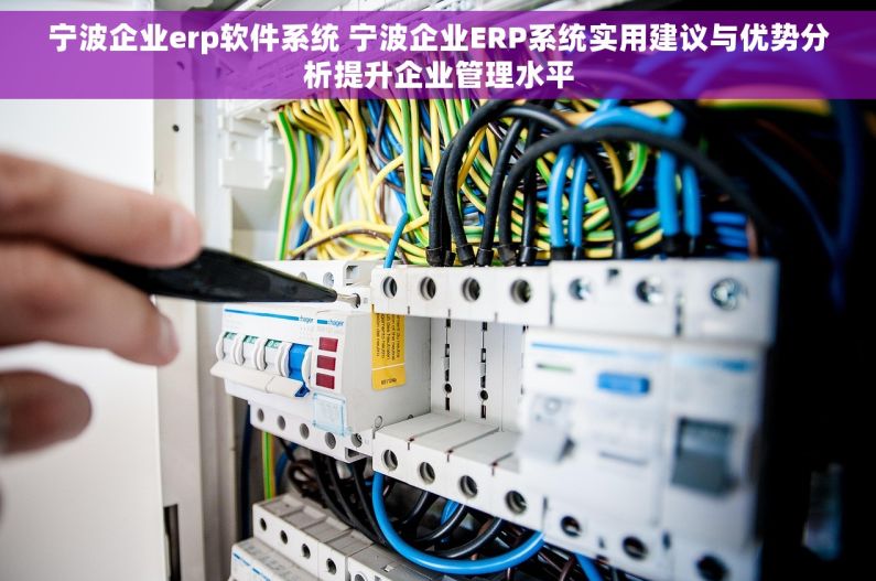 宁波企业erp软件系统 宁波企业ERP系统实用建议与优势分析提升企业管理水平