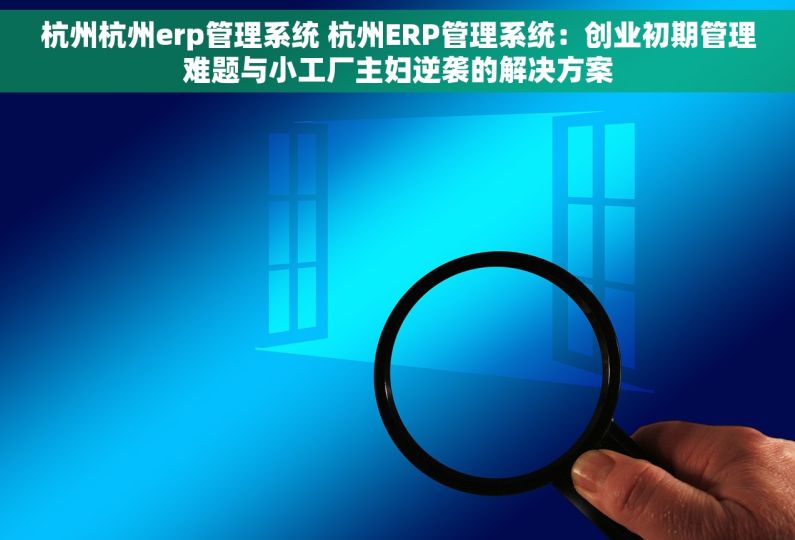 杭州杭州erp管理系统 杭州ERP管理系统:创业初期管理难题与小工厂主妇逆袭的解决方案 杭州杭州erp管理系统 杭州ERP管理系统:创业初期管理难题与小工厂主妇逆袭的解决方案