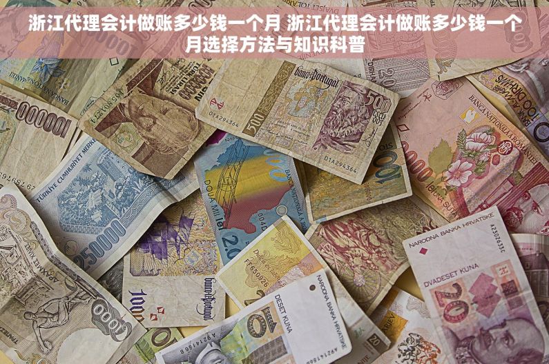 浙江代理会计做账多少钱一个月 浙江代理会计做账多少钱一个月选择方法与知识科普