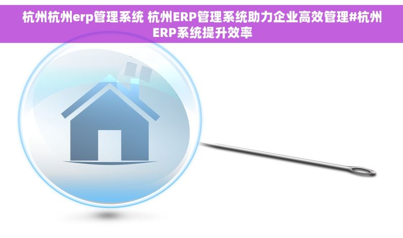 杭州杭州erp管理系统 杭州ERP管理系统助力企业高效管理#杭州ERP系统提升效率