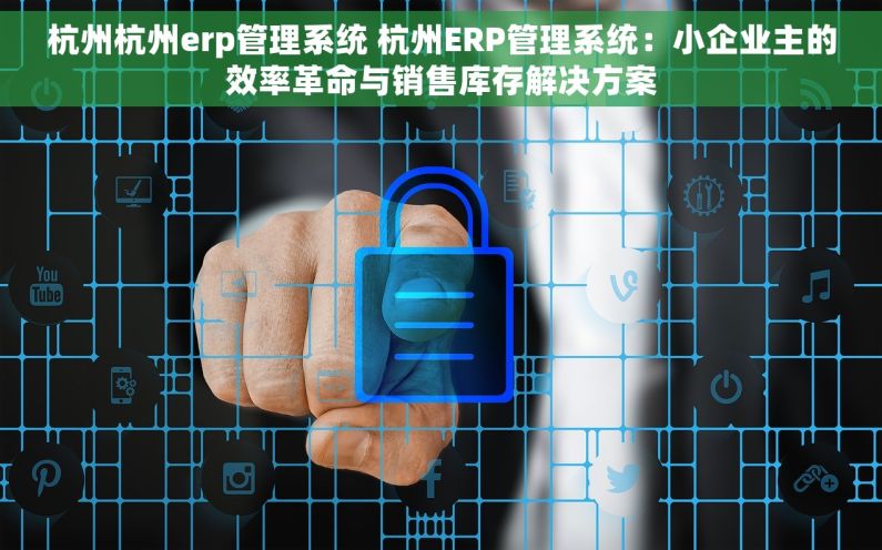 杭州杭州erp管理系统 杭州ERP管理系统:小企业主的效率革命与销售库存解决方案 杭州杭州erp管理系统 杭州ERP管理系统:小企业主的效率革命与销售库存解决方案
