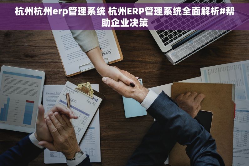 杭州杭州erp管理系统 杭州ERP管理系统全面解析#帮助企业决策