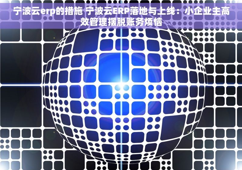 宁波云erp的措施 宁波云ERP落地与上线:小企业主高效管理摆脱账务烦恼 宁波云erp的措施 宁波云ERP落地与上线:小企业主高效管理摆脱账务烦恼