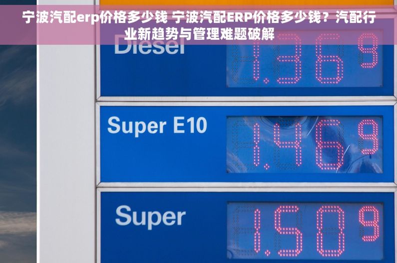 宁波汽配erp价格多少钱 宁波汽配ERP价格多少钱？汽配行业新趋势与管理难题破解
