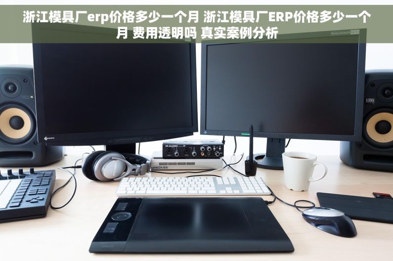 浙江模具厂erp价格多少一个月 浙江模具厂ERP价格多少一个月 费用透明吗 真实案例分析 浙江模具厂erp价格多少一个月 浙江模具厂ERP价格多少一个月 费用透明吗 真实案例分析