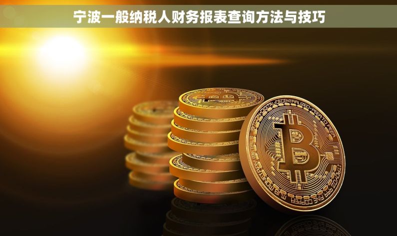 宁波一般纳税人财务报表查询方法与技巧