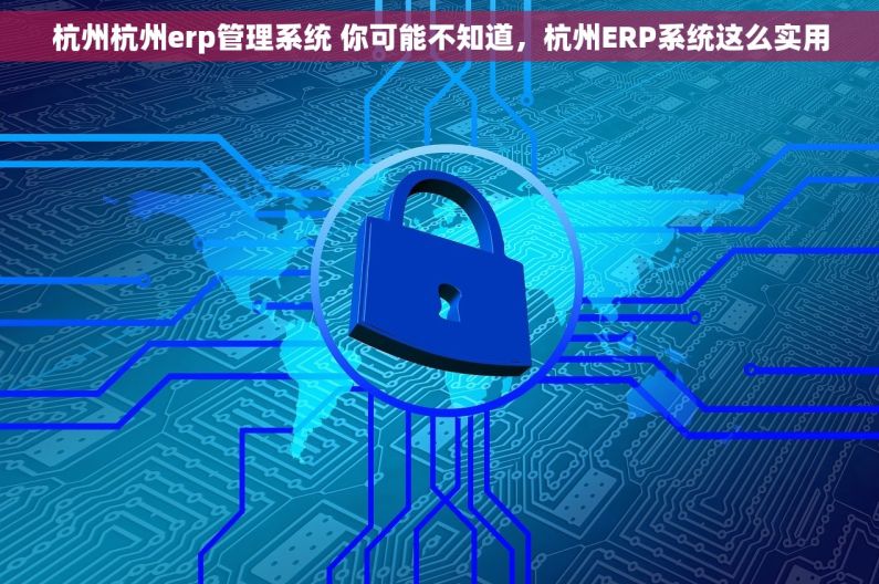 杭州杭州erp管理系统 你可能不知道，杭州ERP系统这么实用
