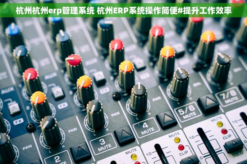 杭州杭州erp管理系统 杭州ERP系统操作简便#提升工作效率