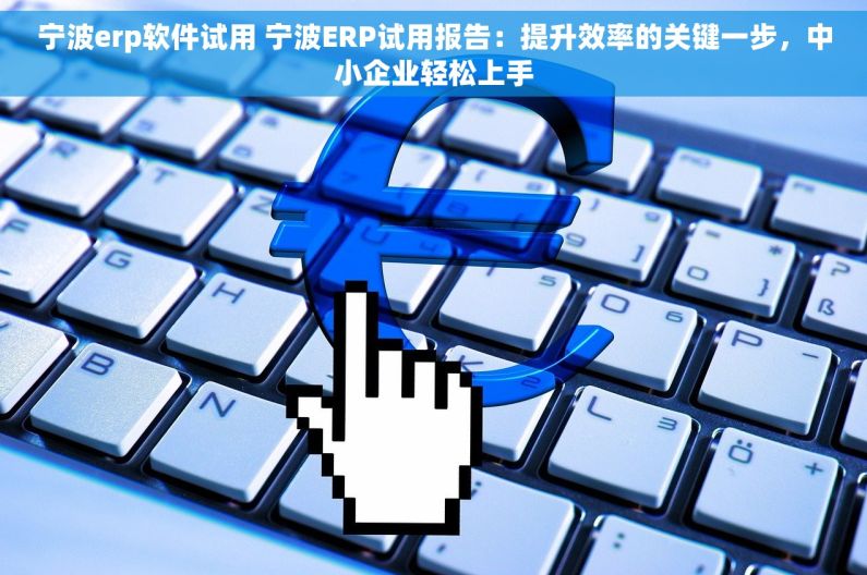 宁波erp软件试用 宁波ERP试用报告：提升效率的关键一步，中小企业轻松上手