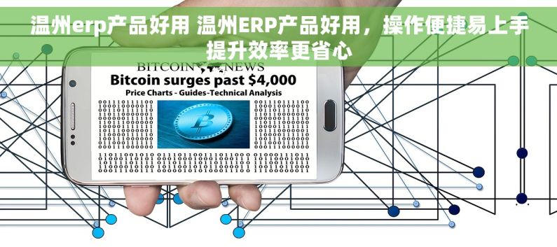 温州erp产品好用 温州ERP产品好用，操作便捷易上手提升效率更省心