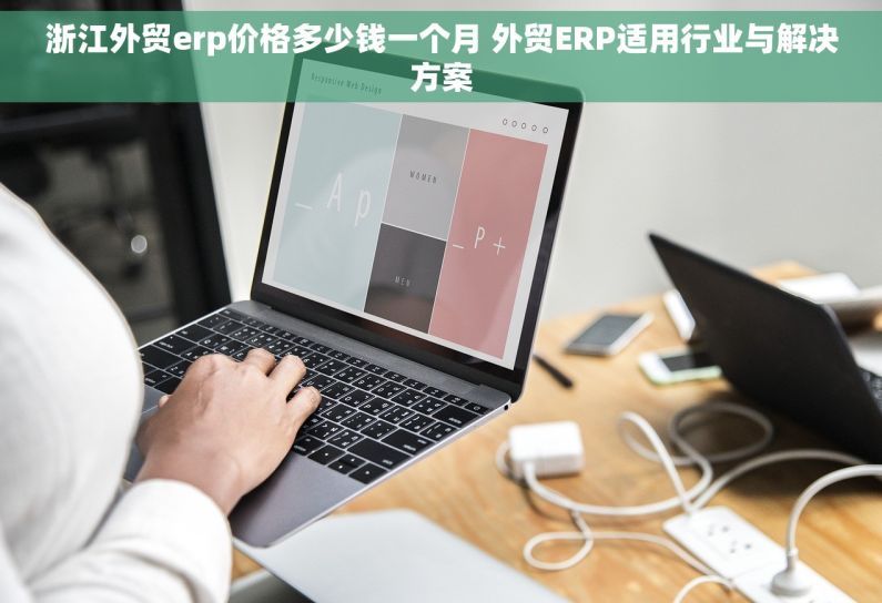 浙江外贸erp价格多少钱一个月 外贸ERP适用行业与解决方案