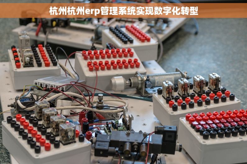 杭州杭州erp管理系统实现数字化转型 杭州杭州erp管理系统实现数字化转型