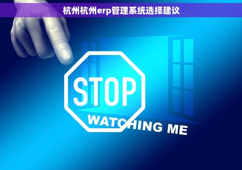 杭州杭州erp管理系统选择建议