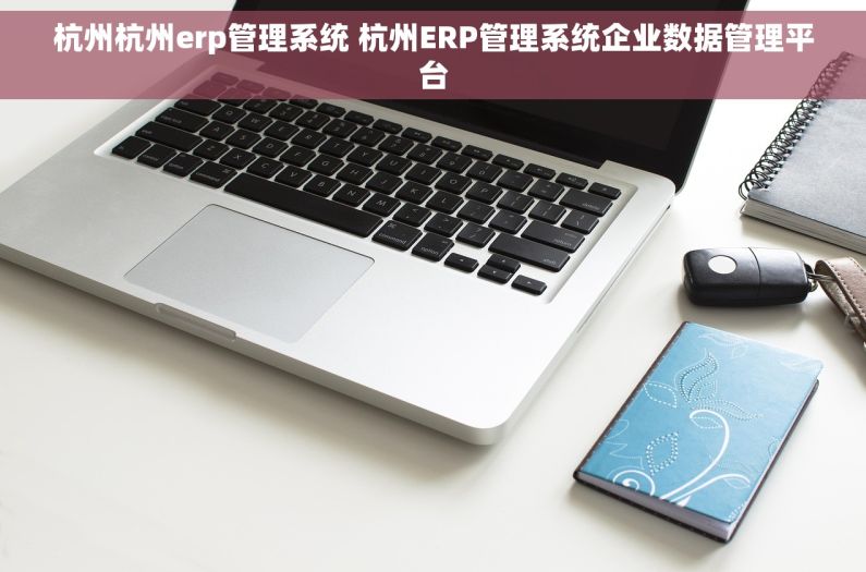 杭州杭州erp管理系统 杭州ERP管理系统企业数据管理平台