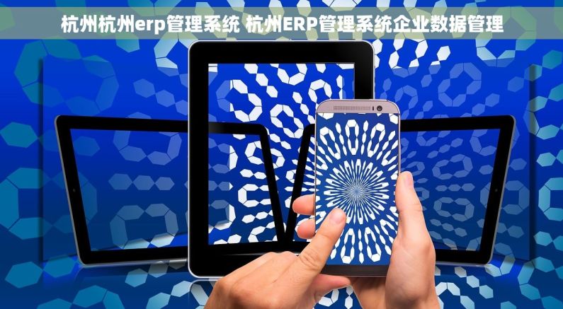 杭州杭州erp管理系统 杭州ERP管理系统企业数据管理