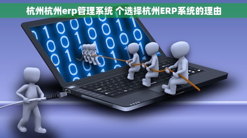 杭州杭州erp管理系统 个选择杭州ERP系统的理由