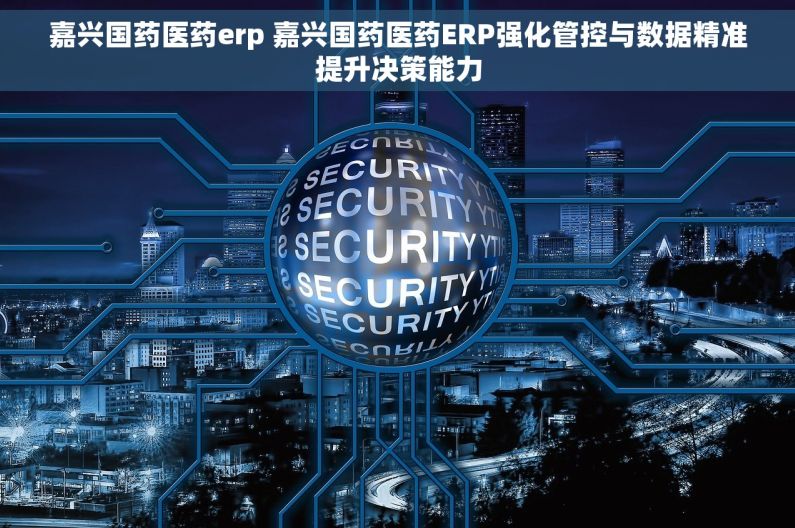嘉兴国药医药erp 嘉兴国药医药ERP强化管控与数据精准提升决策能力