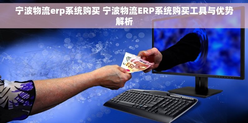 宁波物流erp系统购买 宁波物流ERP系统购买工具与优势解析