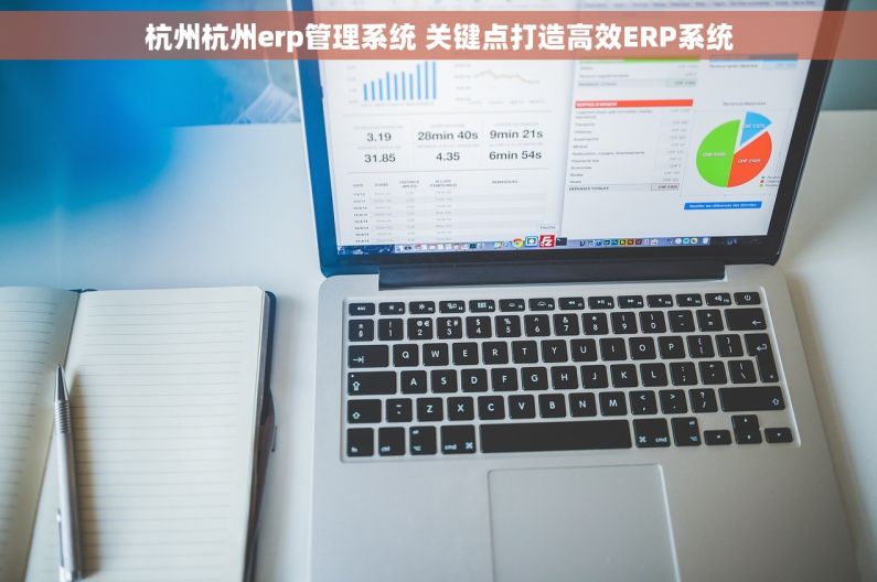 杭州杭州erp管理系统 关键点打造高效ERP系统