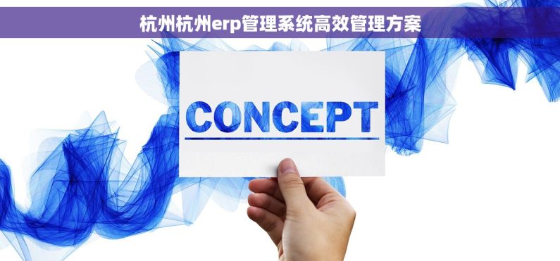 杭州杭州erp管理系统高效管理方案