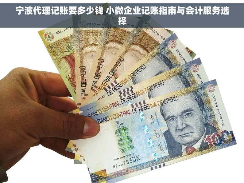 宁波代理记账要多少钱 小微企业记账指南与会计服务选择 宁波代理记账要多少钱 小微企业记账指南与会计服务选择