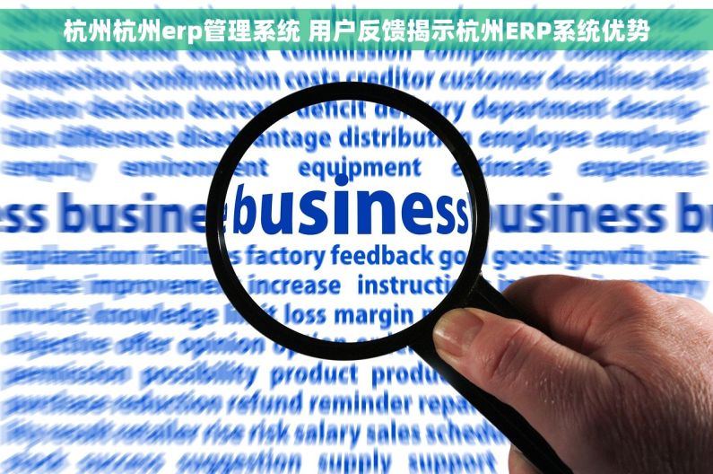 杭州杭州erp管理系统 用户反馈揭示杭州ERP系统优势