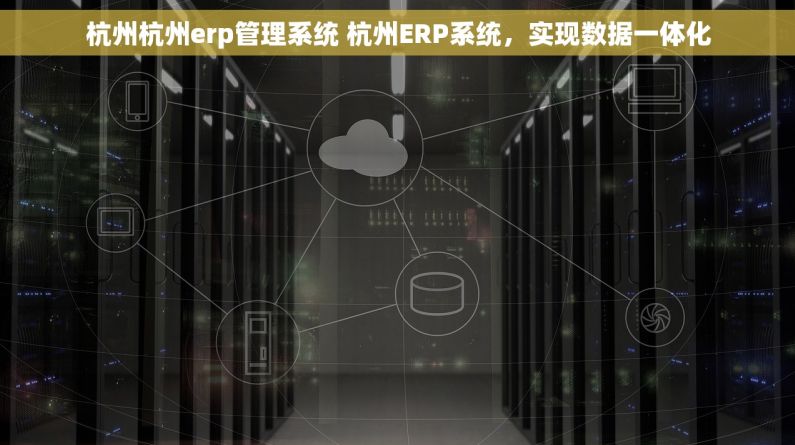 杭州杭州erp管理系统 杭州ERP系统，实现数据一体化