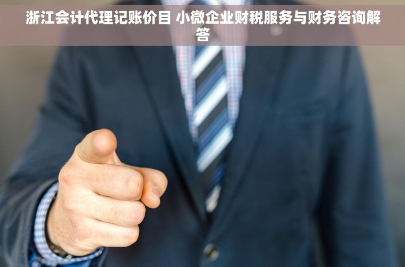 浙江会计代理记账价目 小微企业财税服务与财务咨询解答