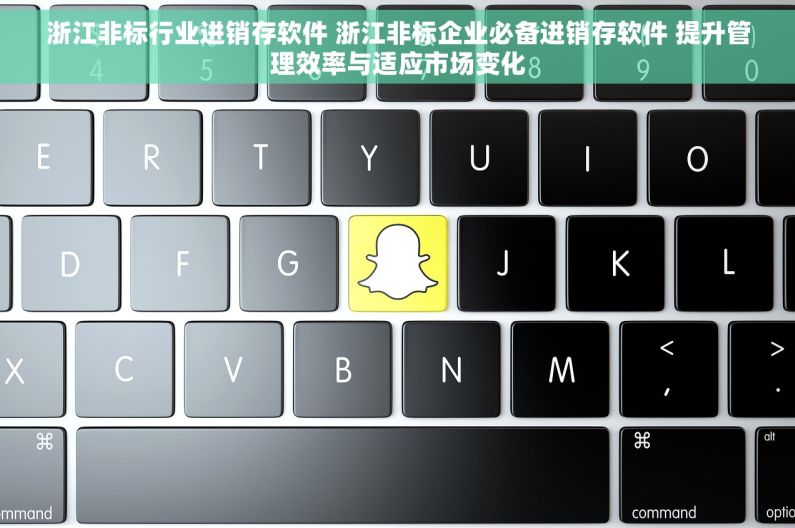 浙江非标行业进销存软件 浙江非标企业必备进销存软件 提升管理效率与适应市场变化 浙江非标行业进销存软件 浙江非标企业必备进销存软件 提升管理效率与适应市场变化