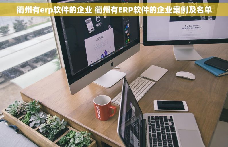 衢州有erp软件的企业 衢州有ERP软件的企业案例及名单