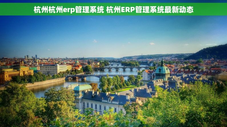 杭州杭州erp管理系统 杭州ERP管理系统最新动态
