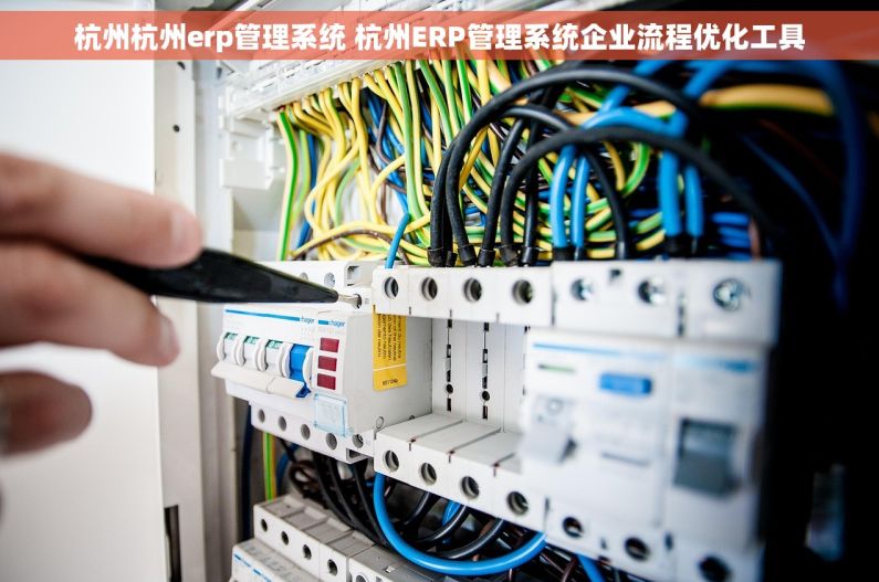 杭州杭州erp管理系统 杭州ERP管理系统企业流程优化工具