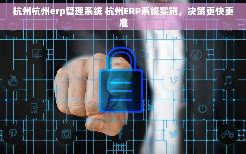 杭州杭州erp管理系统 杭州ERP系统实施，决策更快更准