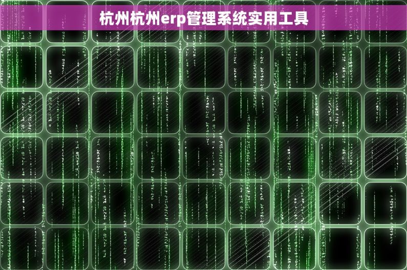 杭州杭州erp管理系统实用工具 杭州杭州erp管理系统实用工具