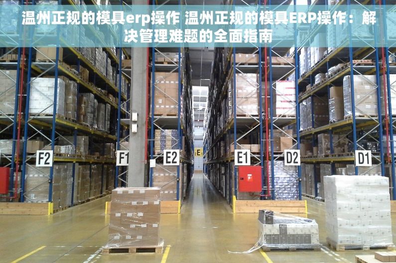 温州正规的模具erp操作 温州正规的模具ERP操作：解决管理难题的全面指南