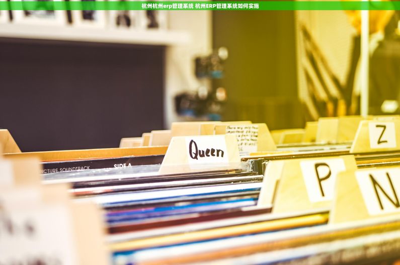 杭州杭州erp管理系统 杭州ERP管理系统如何实施