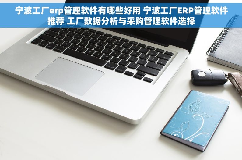 宁波工厂erp管理软件有哪些好用 宁波工厂ERP管理软件推荐 工厂数据分析与采购管理软件选择