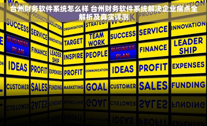 台州财务软件系统怎么样 台州财务软件系统解决企业痛点全解析及真实评测