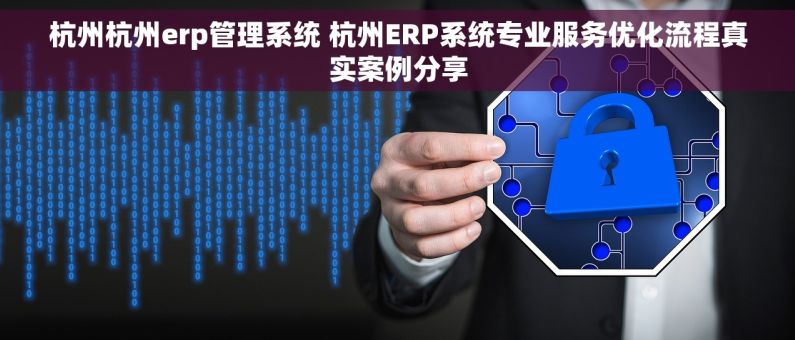 杭州杭州erp管理系统 杭州ERP系统专业服务优化流程真实案例分享